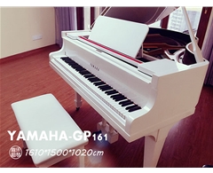 YAMAHA-GP161